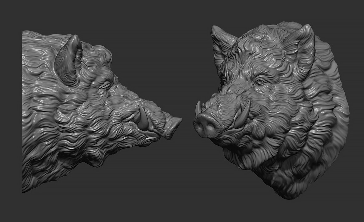 ArtStation Wild boar head Resources
