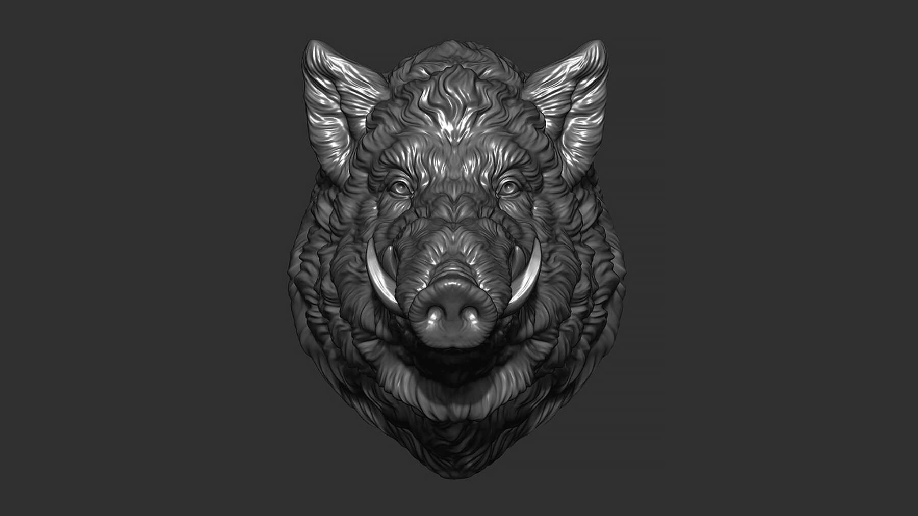 ArtStation Wild boar head Resources