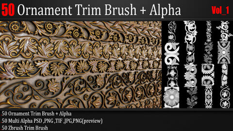 50 Ornament Trim Brush + Alpha VOL 01