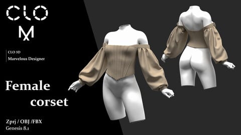 Female corset / Marvelous Designer/Clo3D project file + OBJ