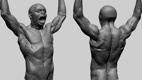 Male Upper Body Printable