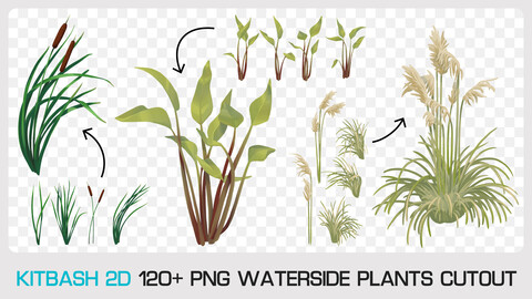 WATERSIDE PLANTS CUTOUT - Kitbash 2D - 120+ PNG & 1 bonus PSD