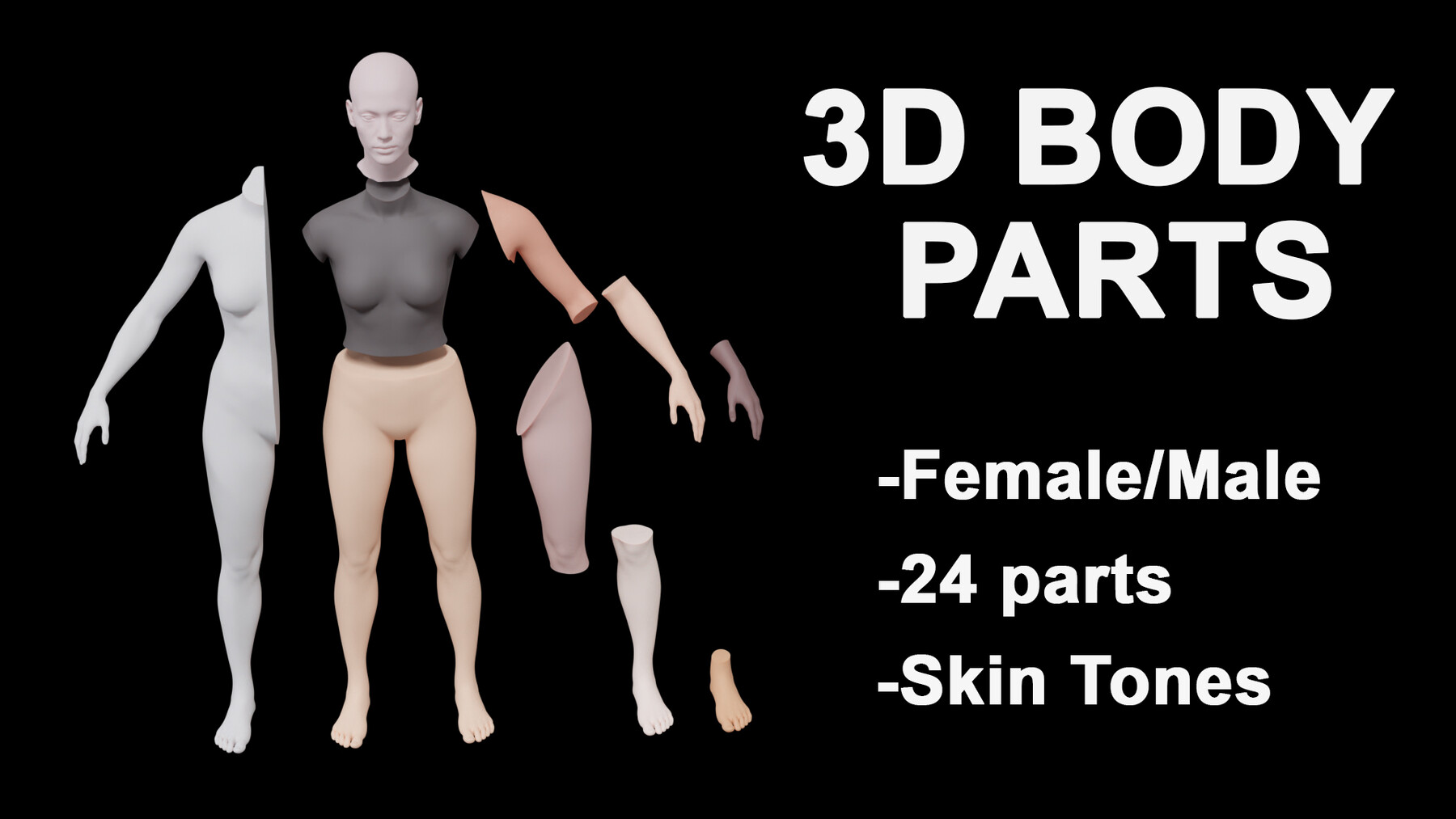 procreate 3d body parts free