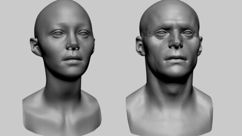 Male Female Head Basemesh C