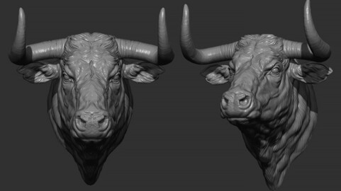 Bull head