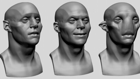 Male Head Planes and Different Shapes
