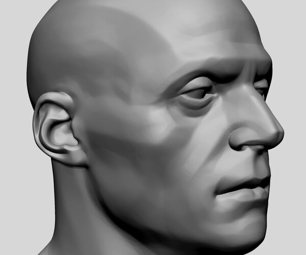 ArtStation - Male Head Planes and Different Shapes | Resources