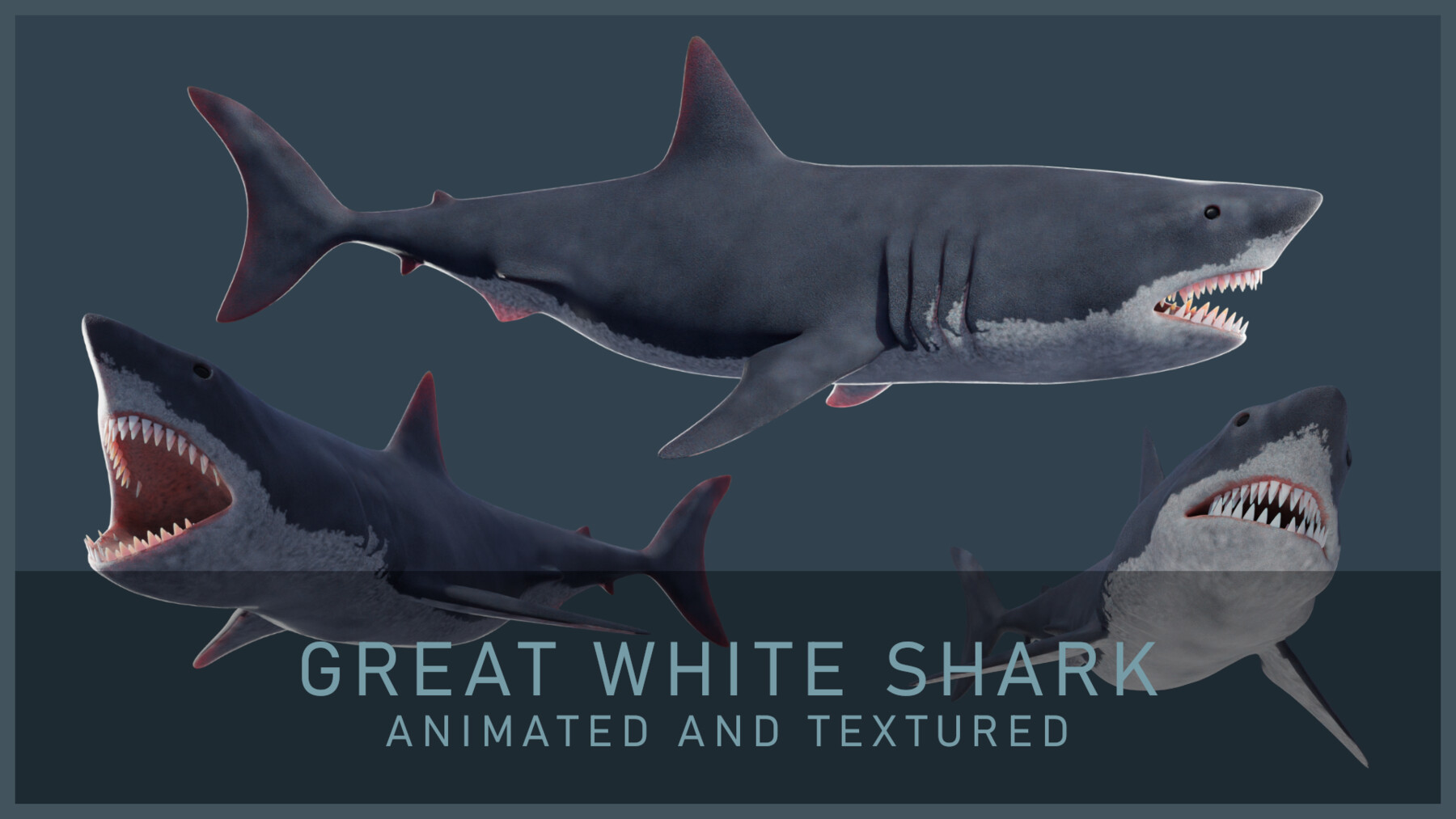 Great White Sharks - Game Ready
