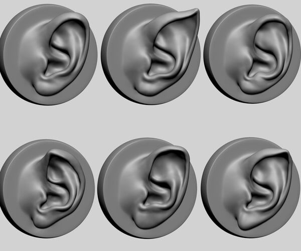 ArtStation - Ear Model with Different Types | Resources