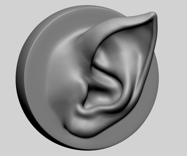 ArtStation - Ear Model with Different Types | Resources