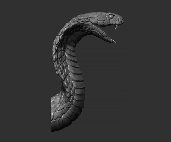 ArtStation - Snake Cobra | Resources