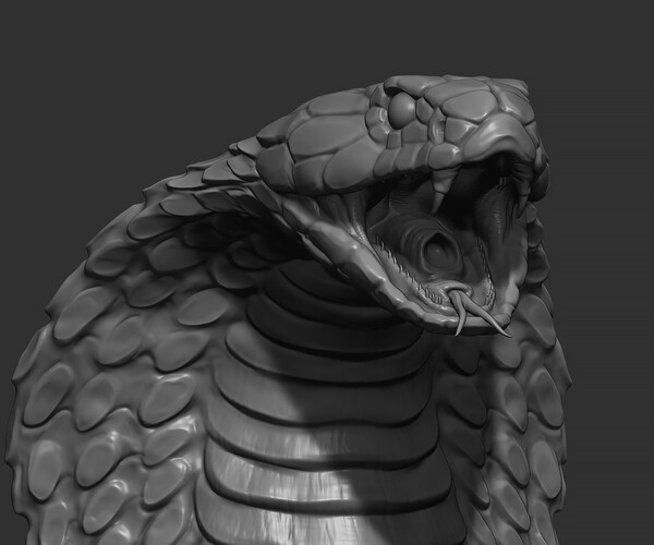 ArtStation - Snake Cobra | Resources