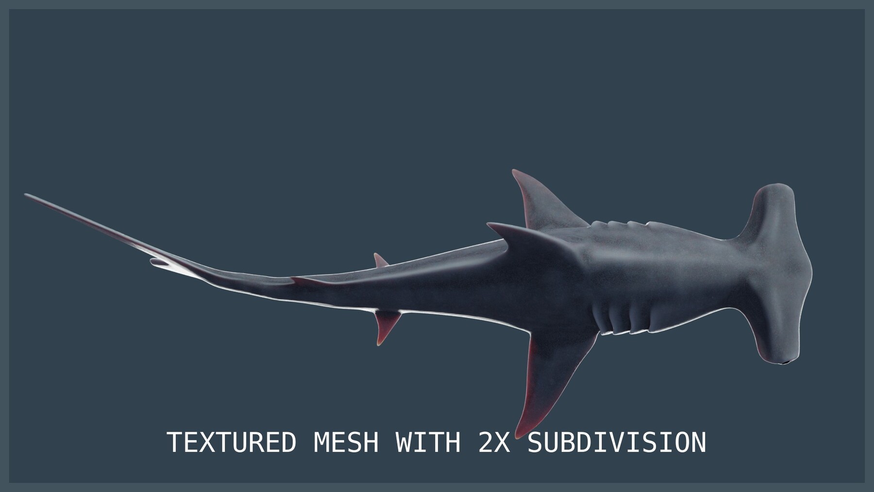 ArtStation Animated Hammerhead Shark Game Assets