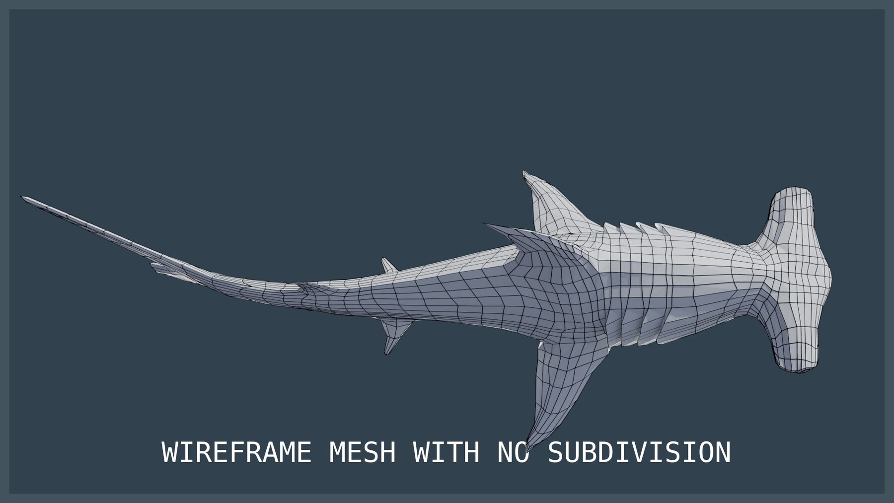 ArtStation Animated Hammerhead Shark Game Assets