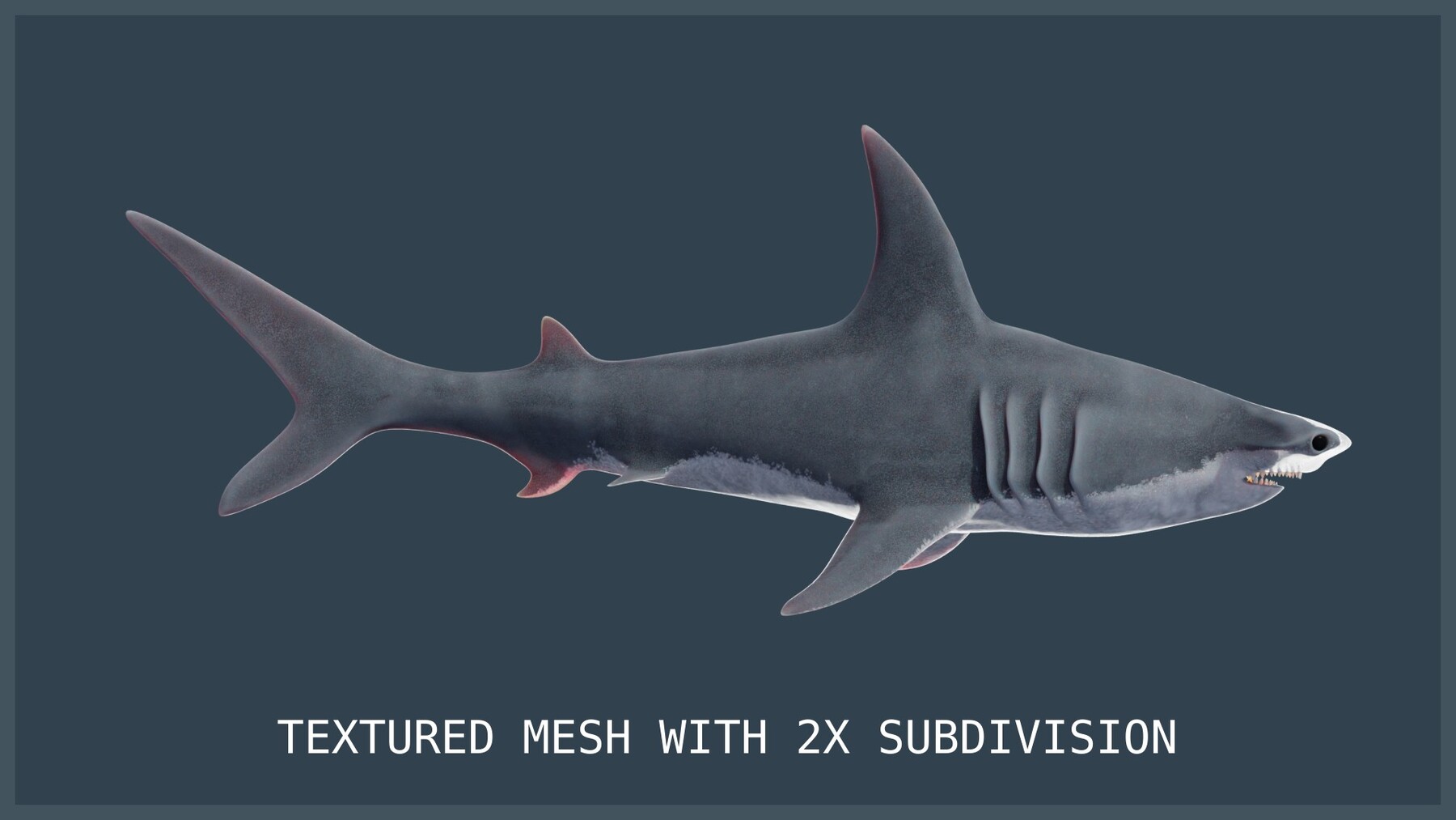 ArtStation Animated Hammerhead Shark Game Assets