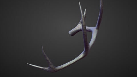 HORN39 high poly sculpt