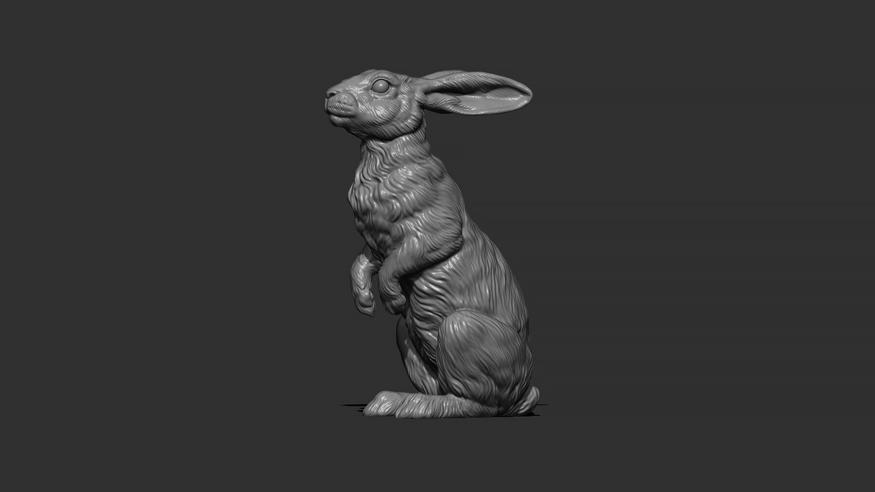 ArtStation - Hare sitting | Resources