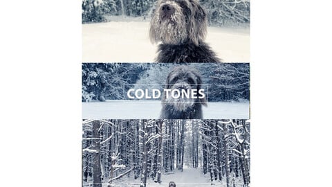 Film Cold Looks Professional Tones LUTs for Sony Slog Videos