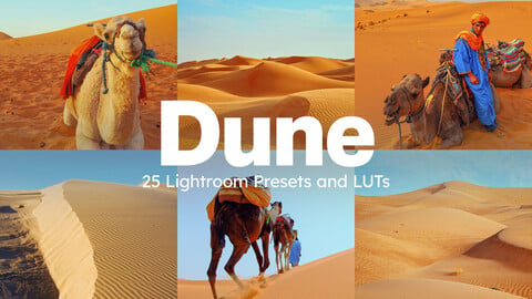 25 Dune Lightroom Presets and LUTs