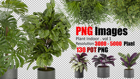 Plant indoor vol 1 PNG  130 PNG images with a resolution of 3000 to 5000