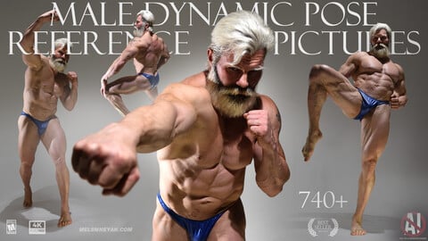 Male dynamic Pose Reference Pictures 740+