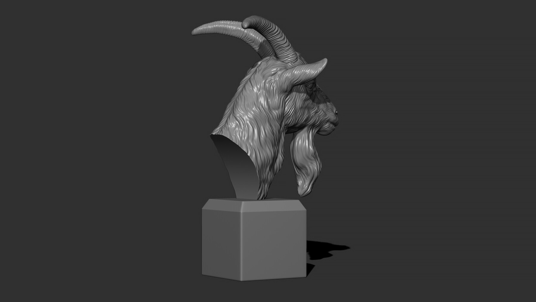 ArtStation - Goat head bust | Resources