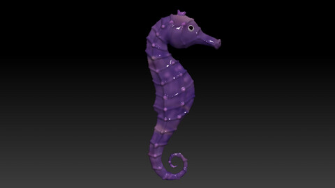 Sea Horse