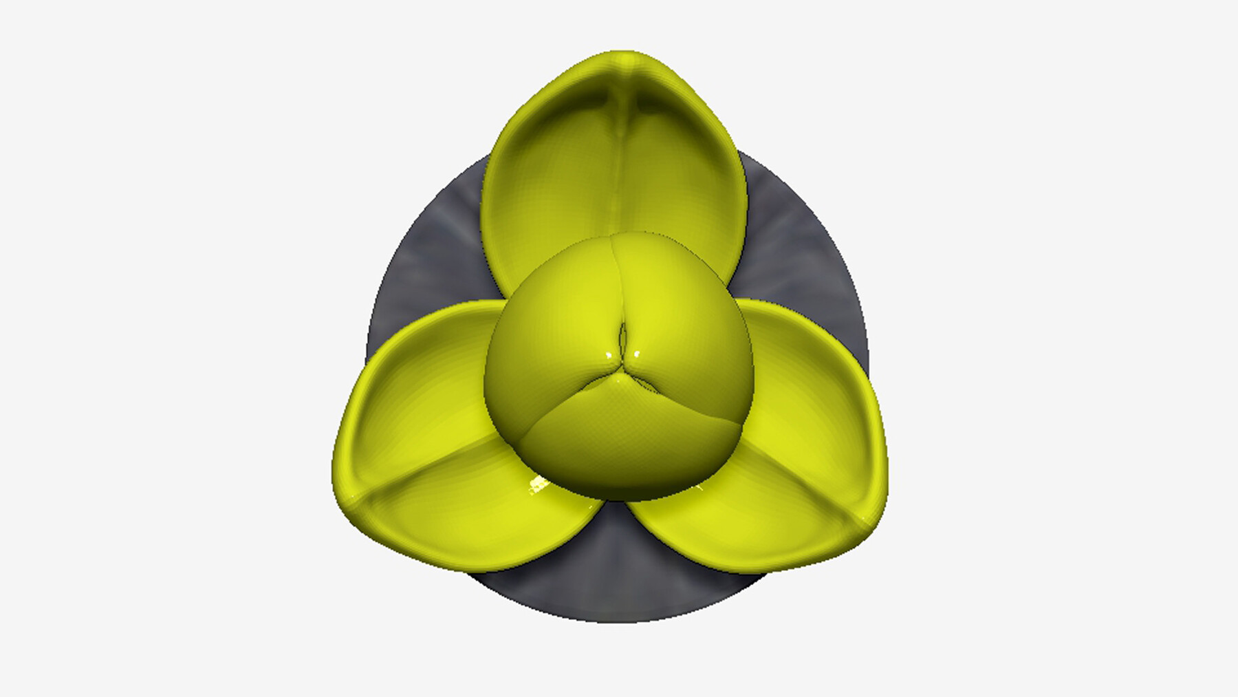 ArtStation - Romdoul Flower | Resources