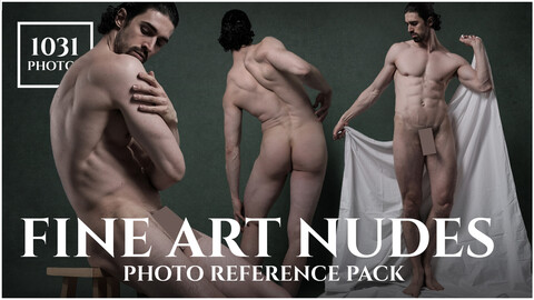 A Fine Art Nudes - Reference Pack For Artists 1031 JPEGs noAI