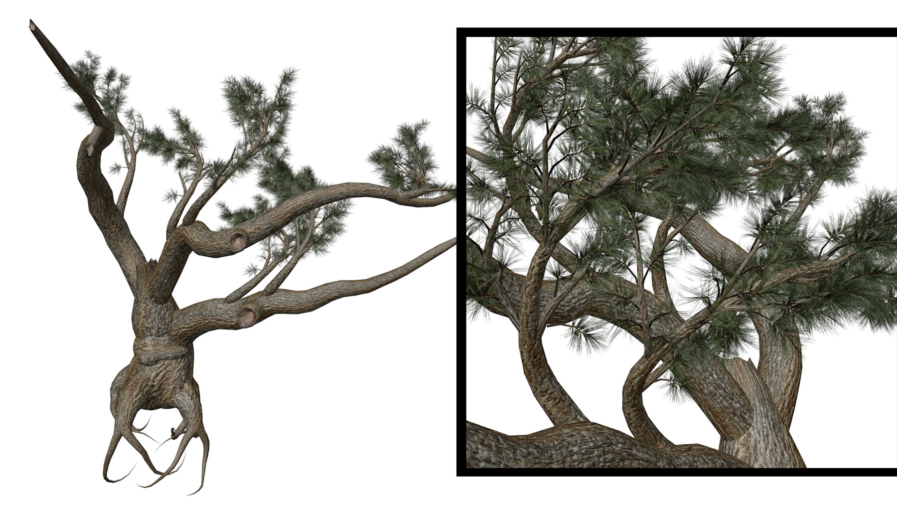 ArtStation - Jeffrey Pine #04 (FBX) - High Poly Tree (3D Model) | Resources