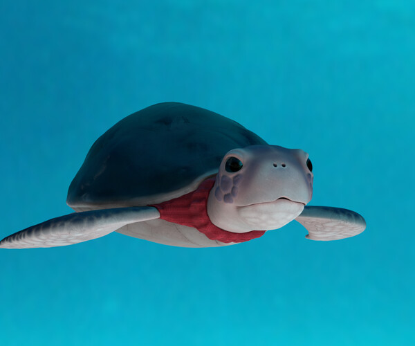 ArtStation - Turtle in the turtleneck - 3d stylized, rigged | Resources