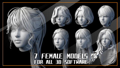 7 female head models for all 3D software