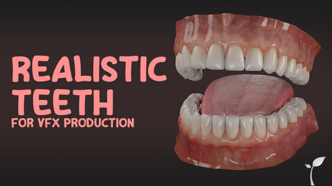 Realistic Teeth 3D model - VFX and Real-time