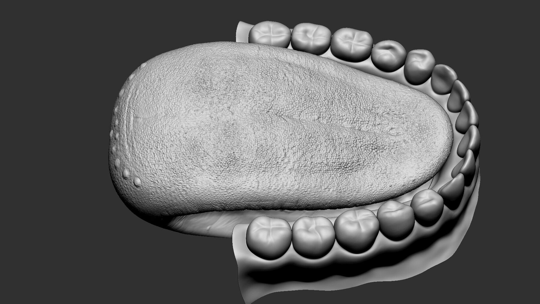 ArtStation - Realistic Teeth 3D model - VFX and Real-time | Resources