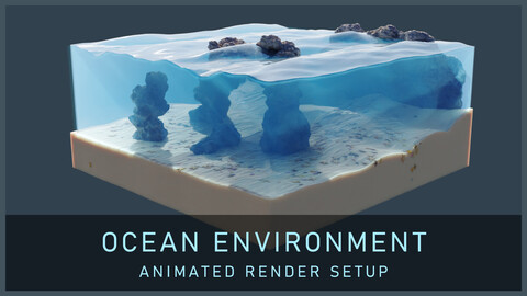 Ocean Environment