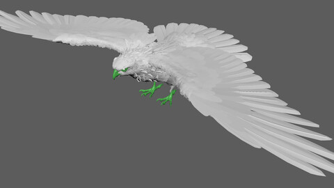 鹰隼Eagle Falcon Model