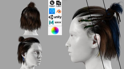 Realistic Female hair afro latina Braids low poly