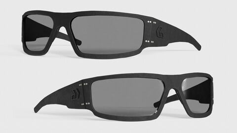 MILITARY Game Ready Gatorz Magnum Eye Protection Low-poly 3D model