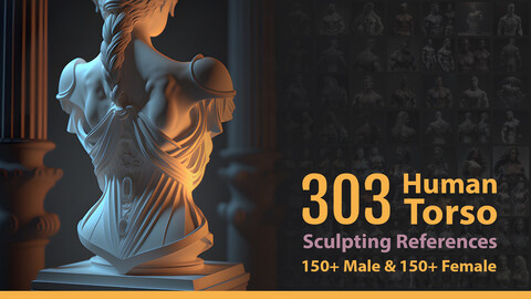 303 human torso Sculpting references