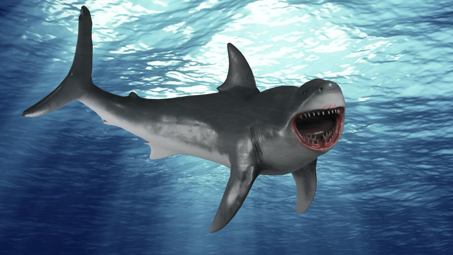 shark blender animation free 3D model animated