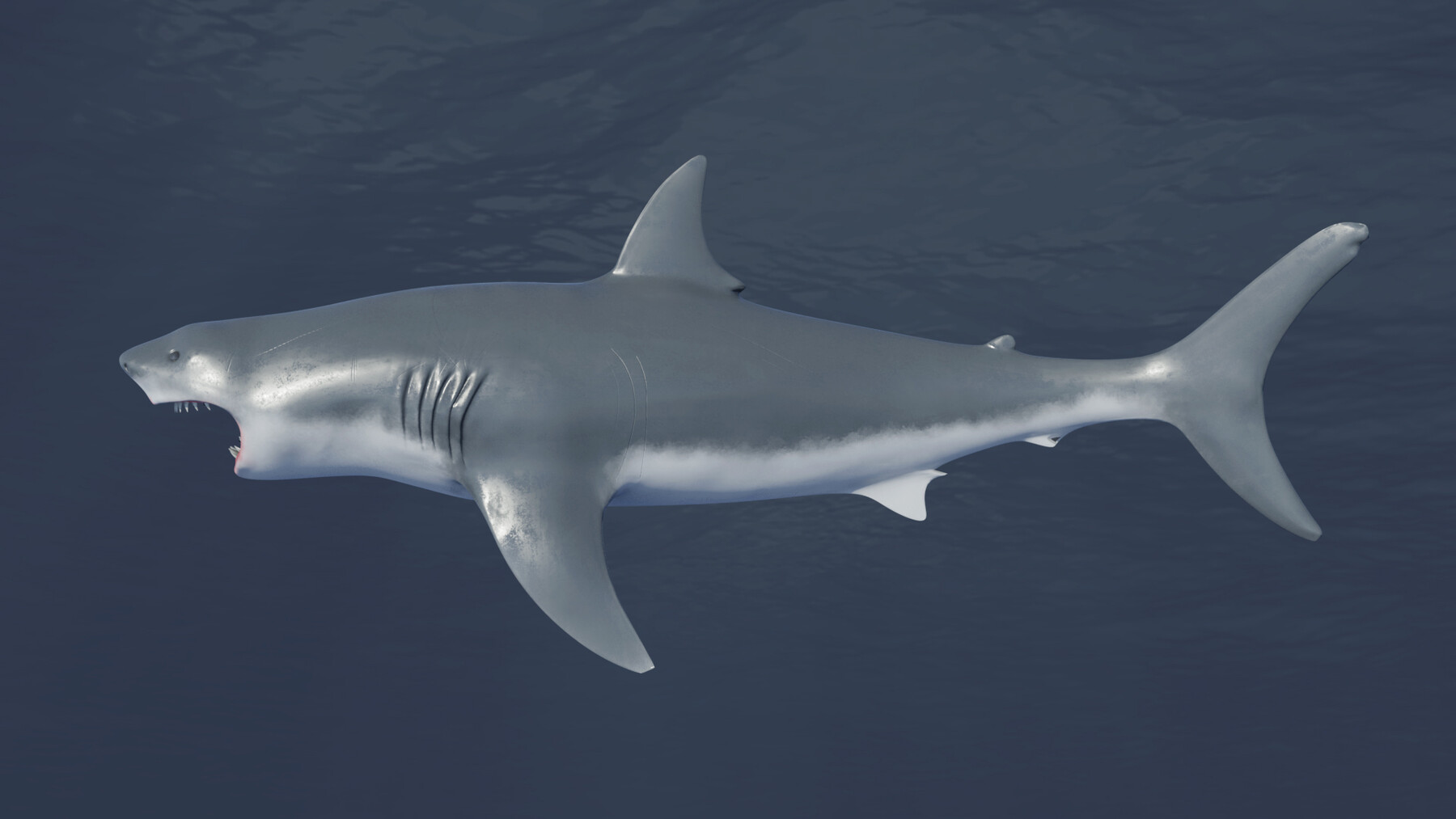 Sharky The Great : r/blender