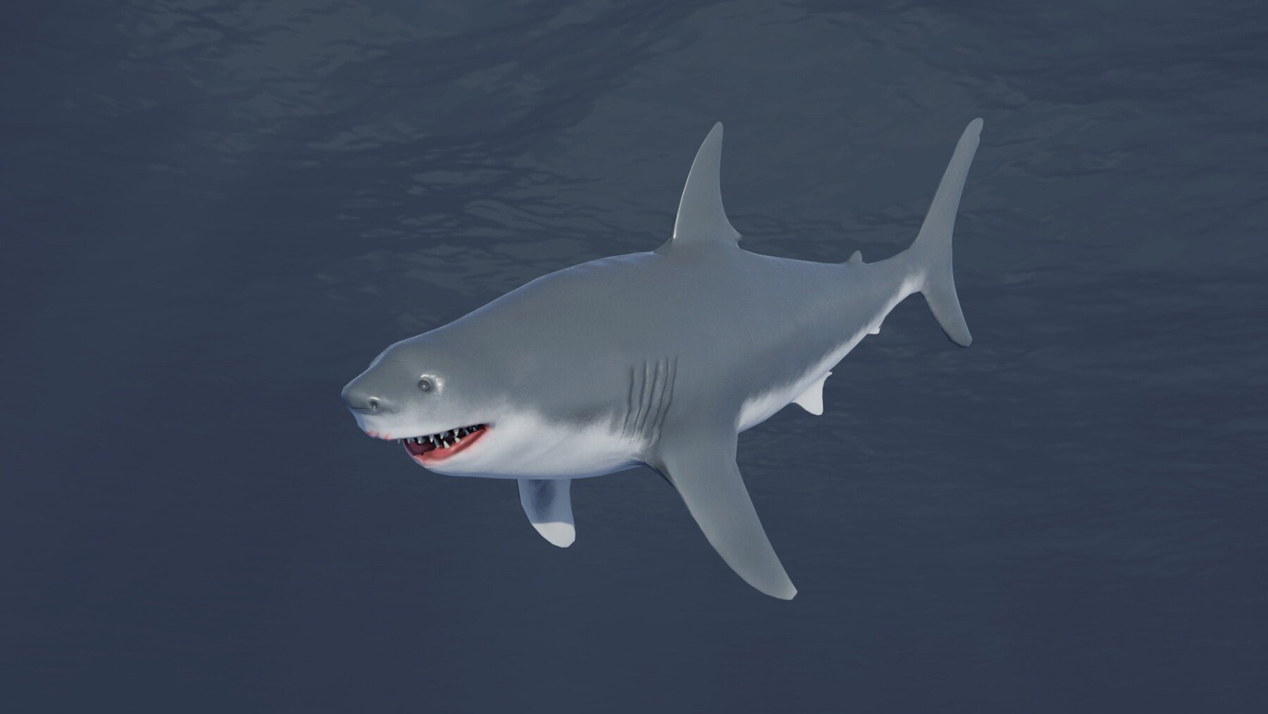 shark blender animation free 3D model animated