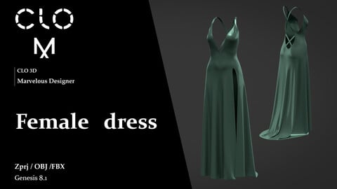 Female dress / Marvelous Designer/Clo3D project file + OBJ