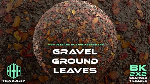 T016 Gravel Ground Leaves | Scanned Material