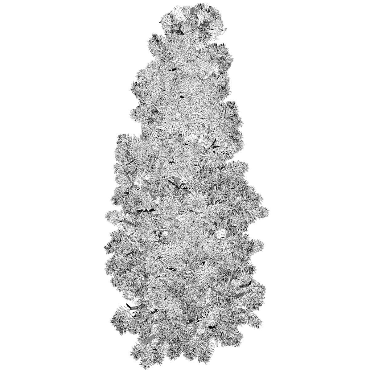 ArtStation Colorado Blue Spruce 02 (FBX) High Poly Tree (3D Model