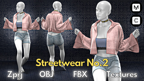Streetwear No.2 : Marvelous Designer + Clo3d + OBJ + FBX + Texture
