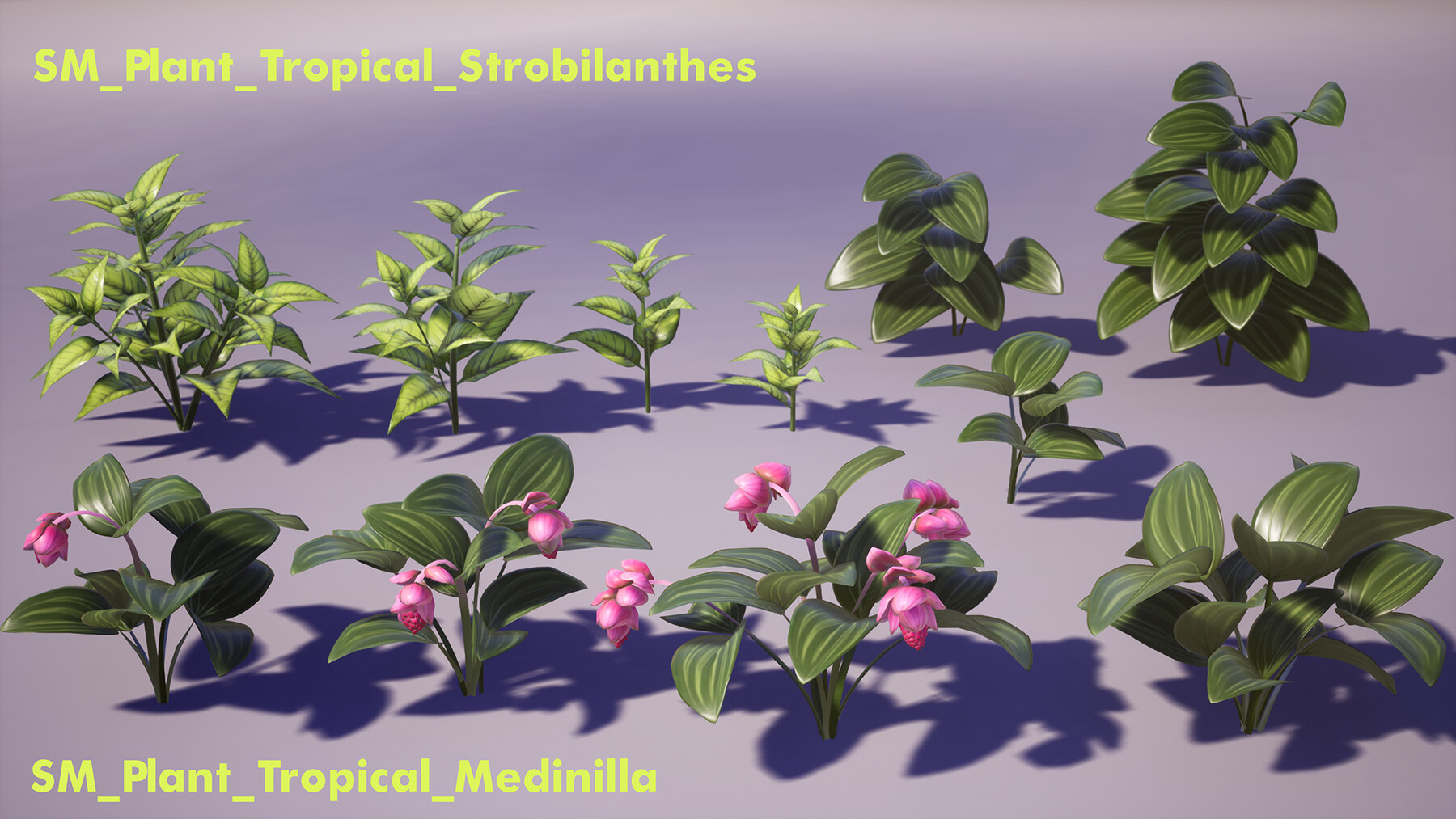 ArtStation Tropical Plants Pack Game Assets File