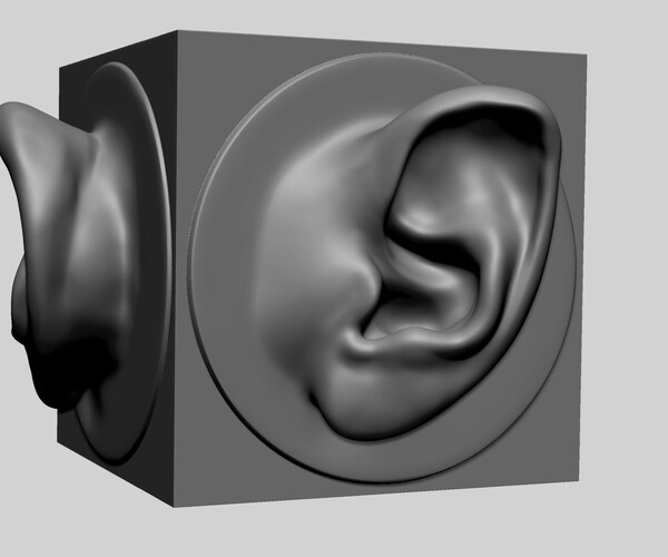 ArtStation - Ear Models for 3DPrint | Resources