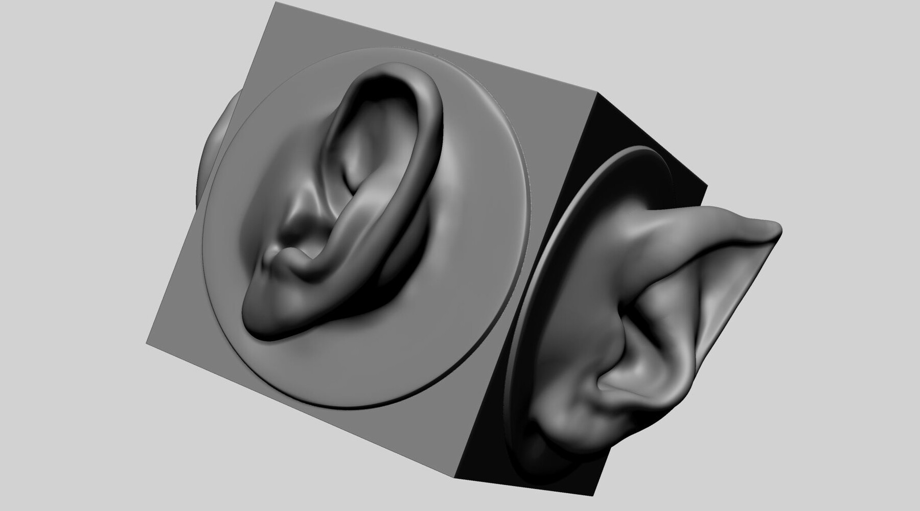 ArtStation - Ear Models for 3DPrint | Resources