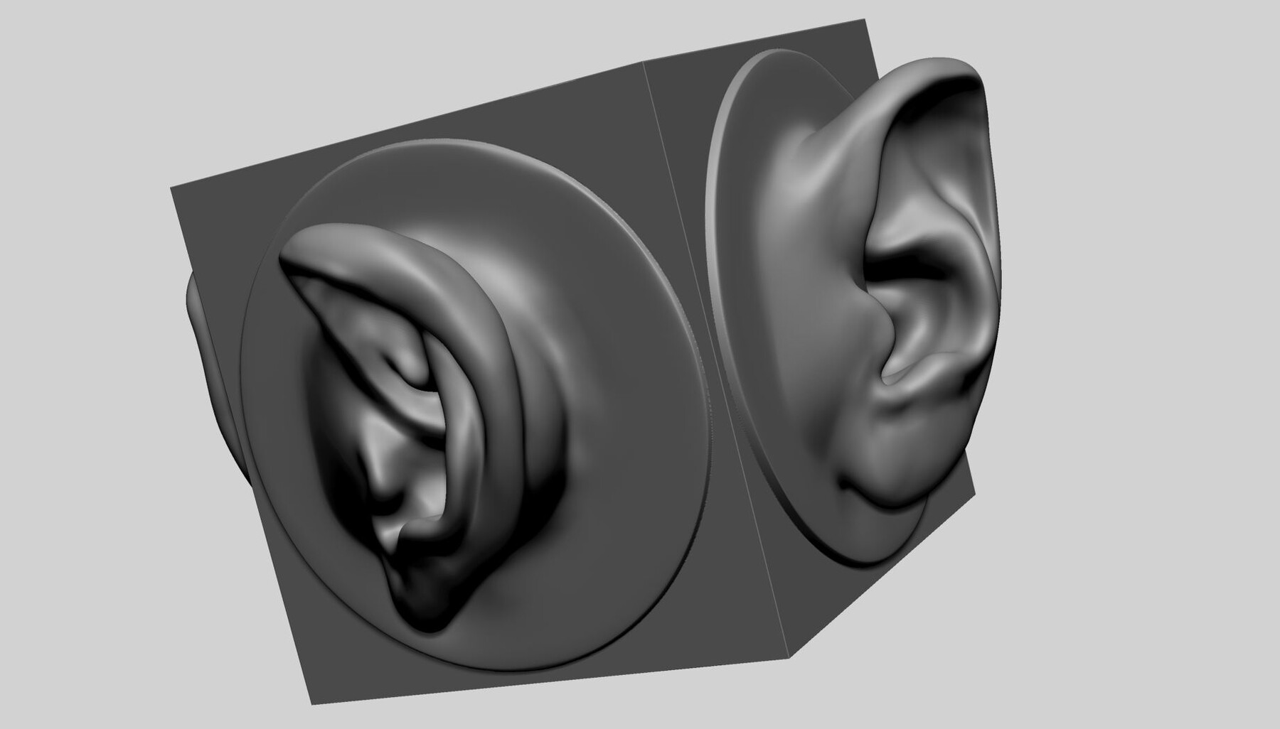 Artstation - Ear Models For 3dprint 